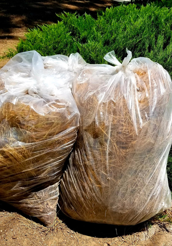 Yard Waste Removal in Garland Texas