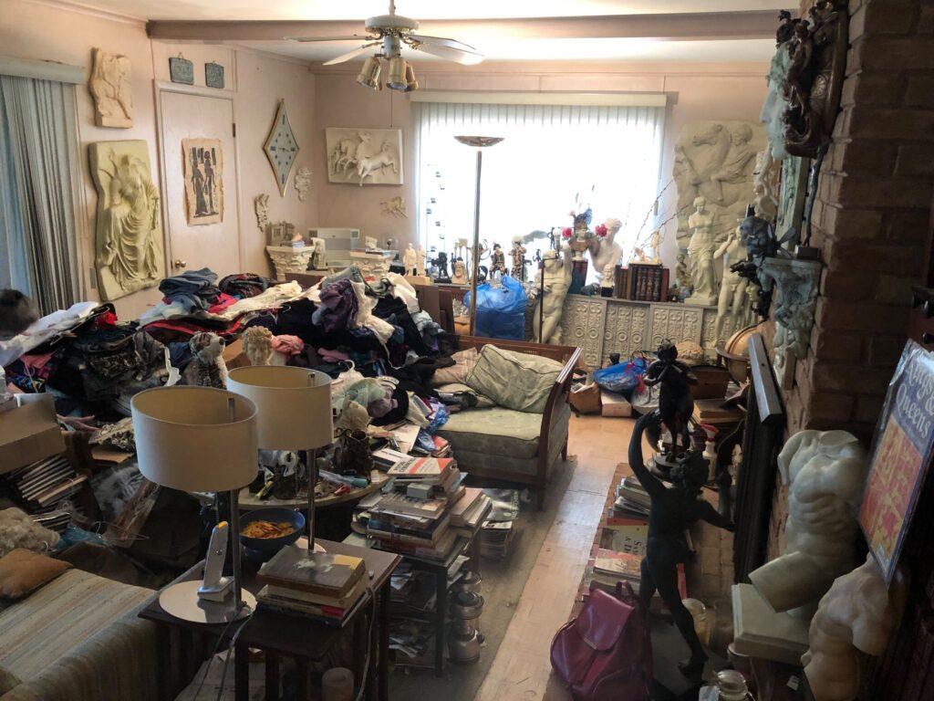 hoarder house cleanout