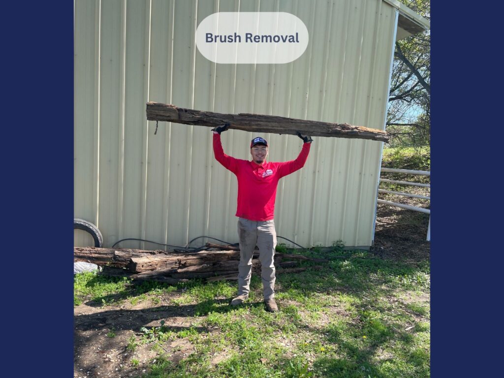 Brush Removal