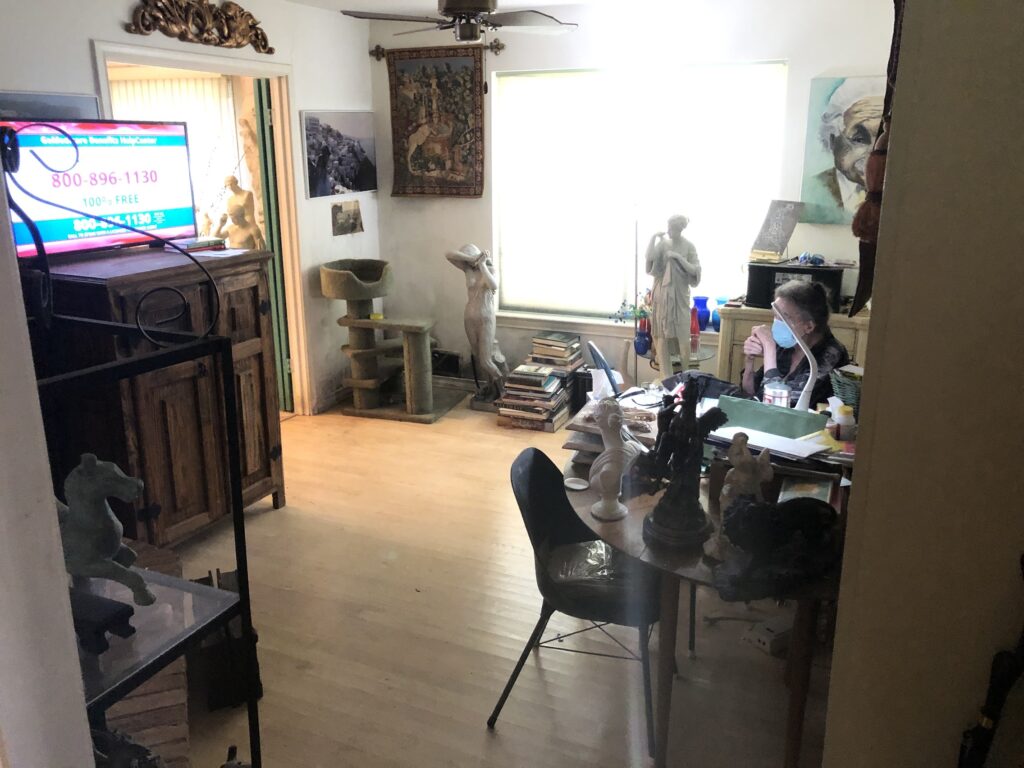 clean hoarder hone addison tx