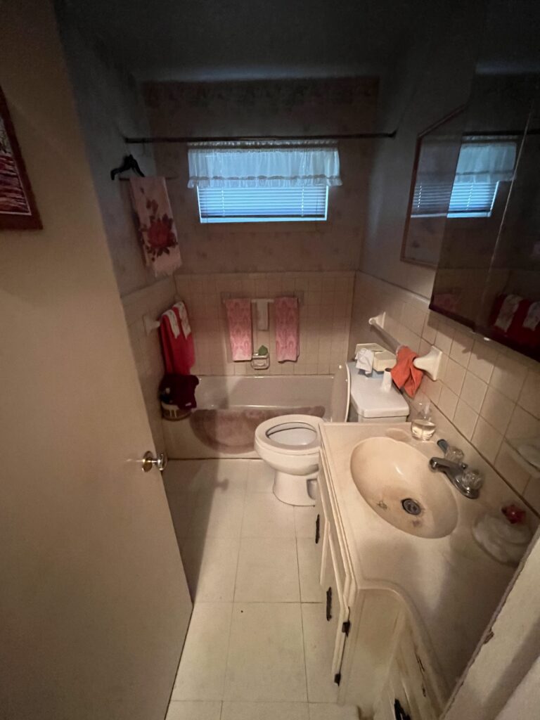 bathroom estate cleanout