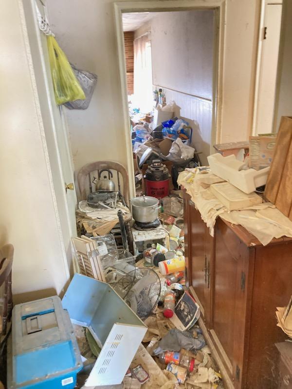 hoarder cleanout grapevine