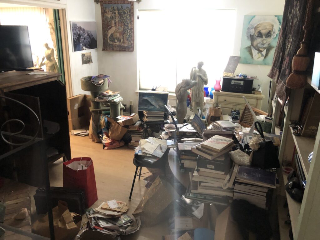 hoarder cleanout irving tx