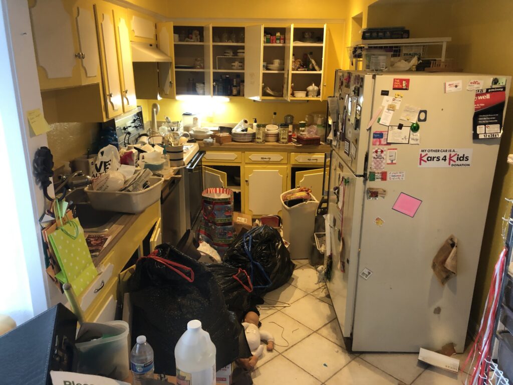 hoarder kitchen needing cleanout
