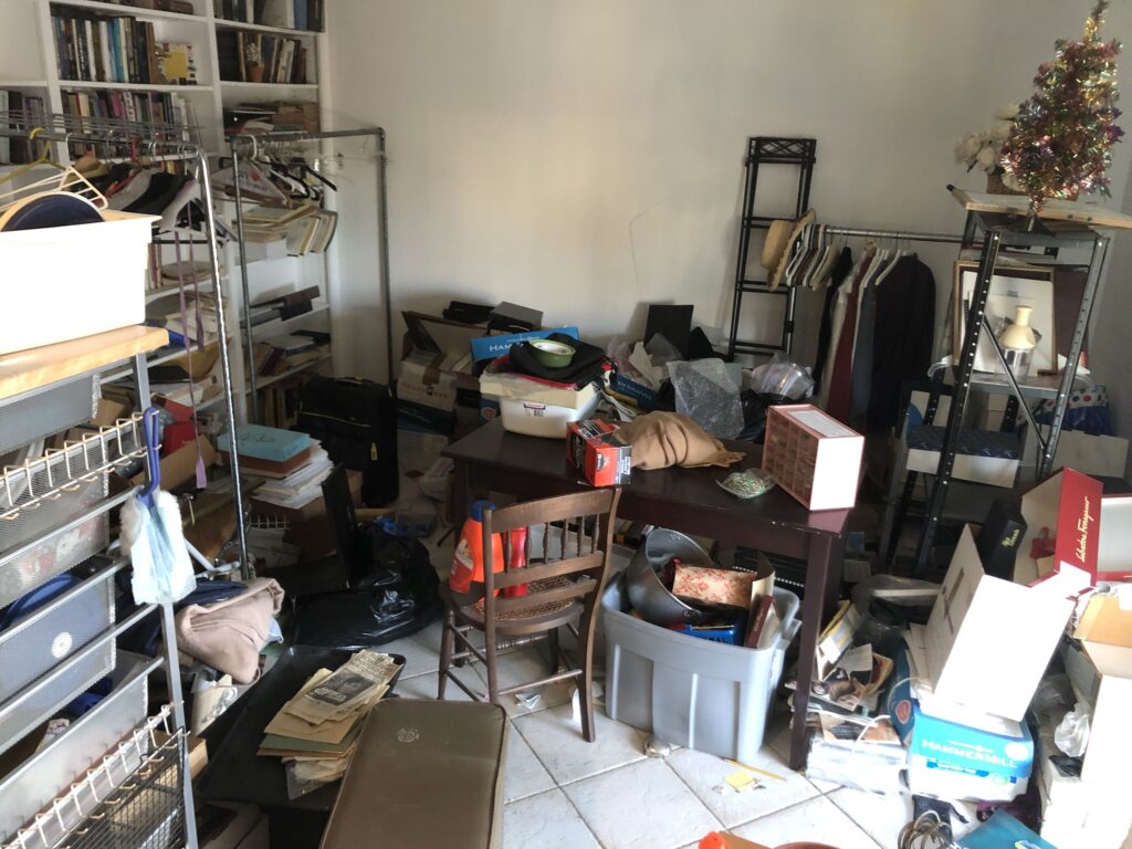 hoarder cleanout lewisville