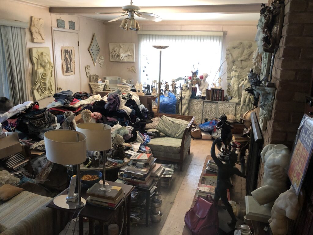 living room hoarder cleanout
