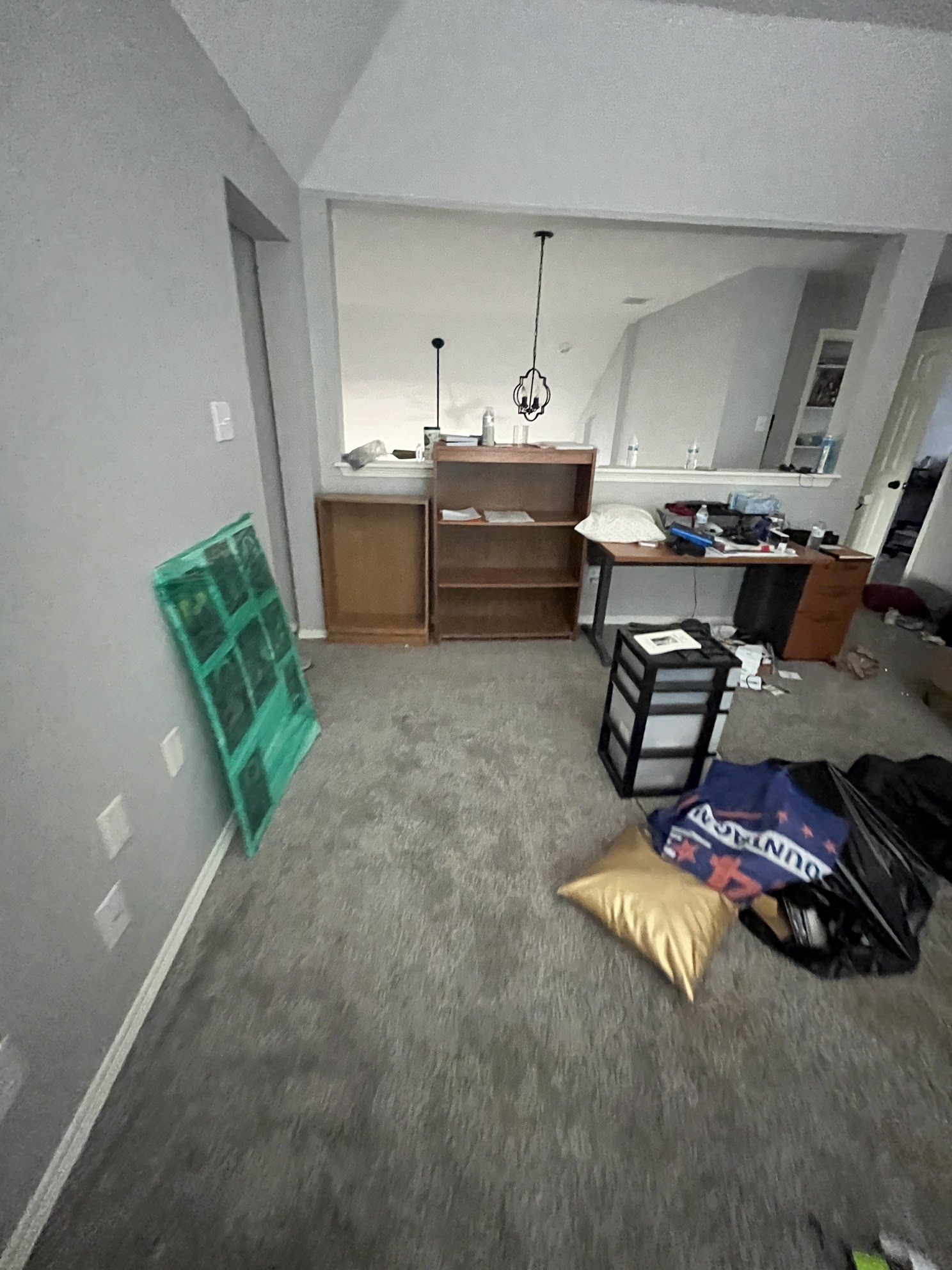 media room cleaning in foreclosure cleanout