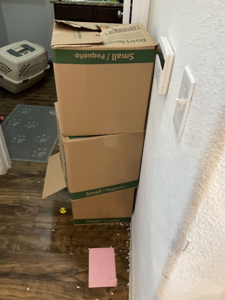 stacked boxes leaving in foreclosure cleanout